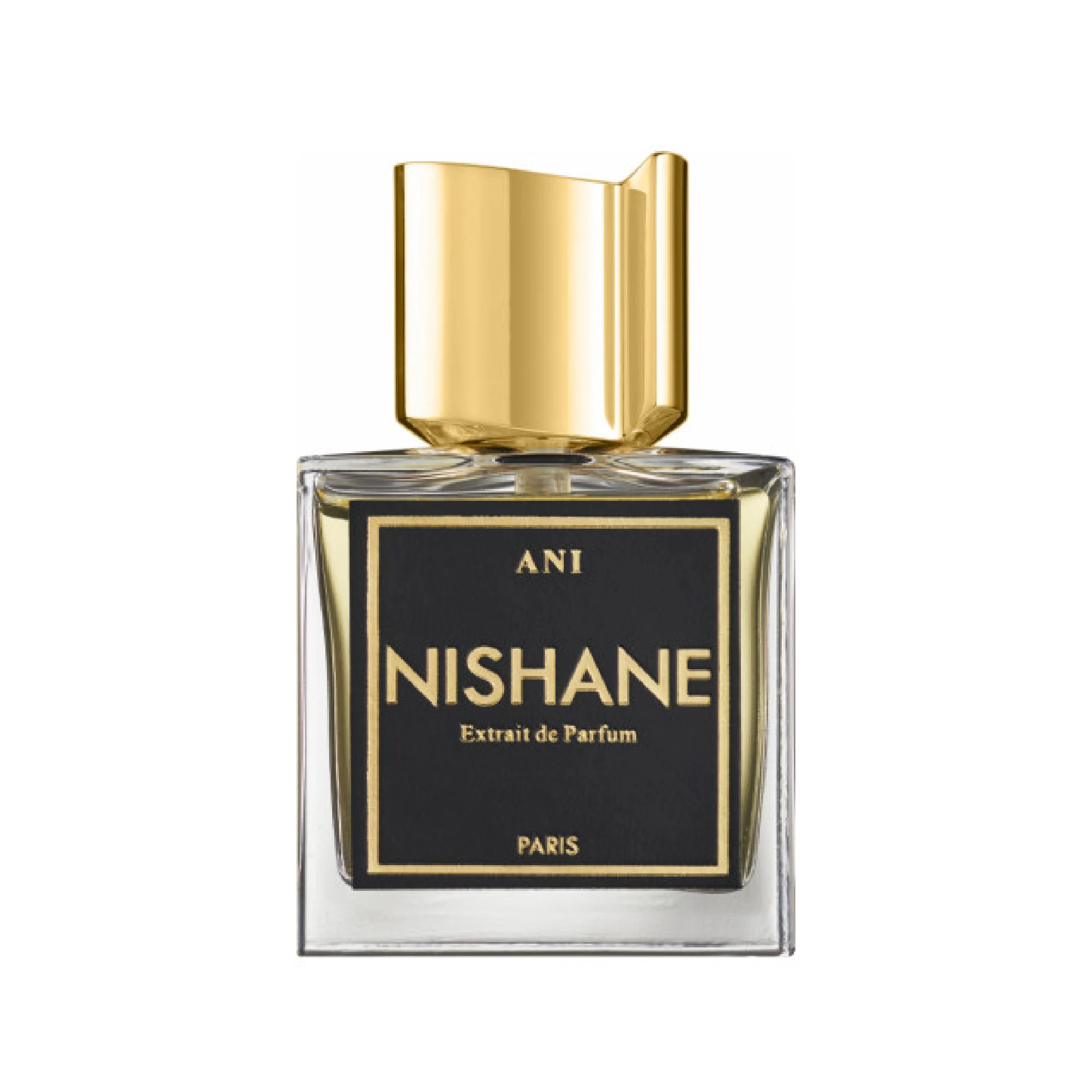 NISHANE ANI EXTRAIT DE PARFUM 100Ml