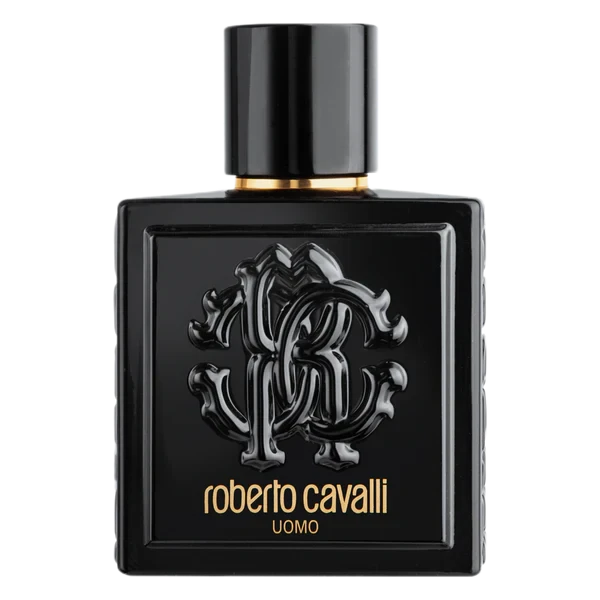 ROBERTO CAVALLI UOMO (M) EDT 100ML